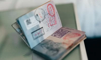 Temporary Work Visa