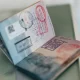 Temporary Work Visa
