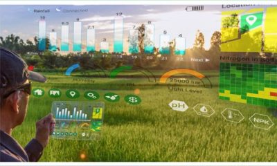 Smarter Farming How Crop Sizing Technology Revolutionizes Agriculture