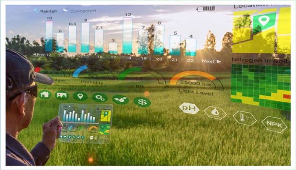 Smarter Farming How Crop Sizing Technology Revolutionizes Agriculture