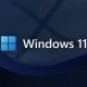 Windows 11
