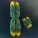 Y Chromosome
