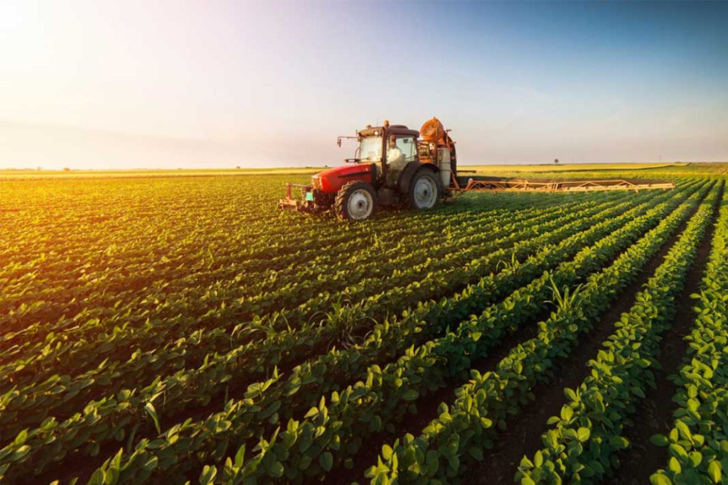 farming
