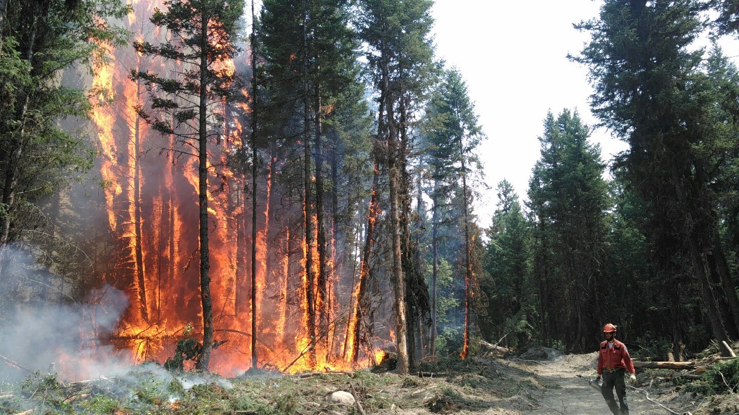 British Columbia Canada Declares State of Emergency as Wildfires Burn Out of Control
