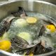 Fish Bone Broth