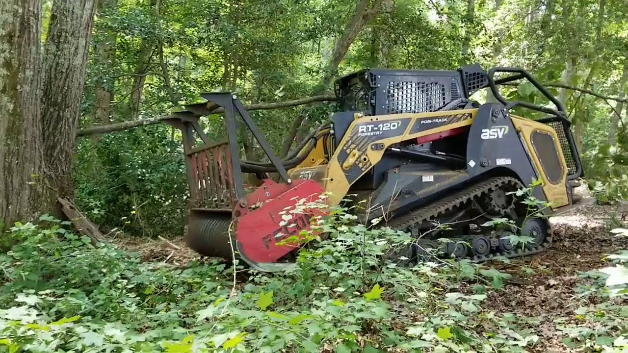 Forest Mulching