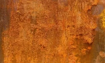 Corrosion Of Iron By Anaerobic Bacteria Due To Conductive Pili