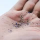 Microplastics Found In Human Heart Tissue For The First Time