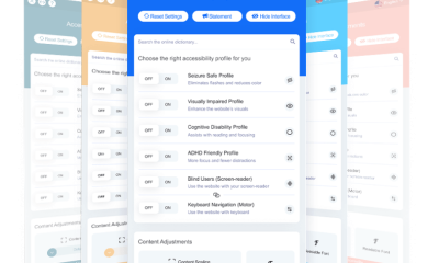 A visual representation of accessibe's accessWidget interface
