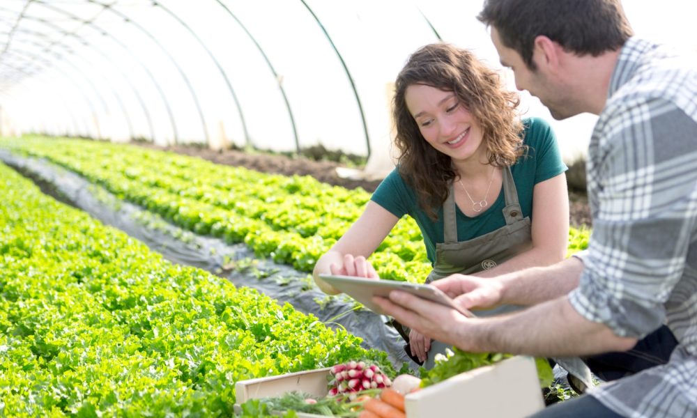 Getting a Loan for your Start-up Business or Oppstart Bedrift