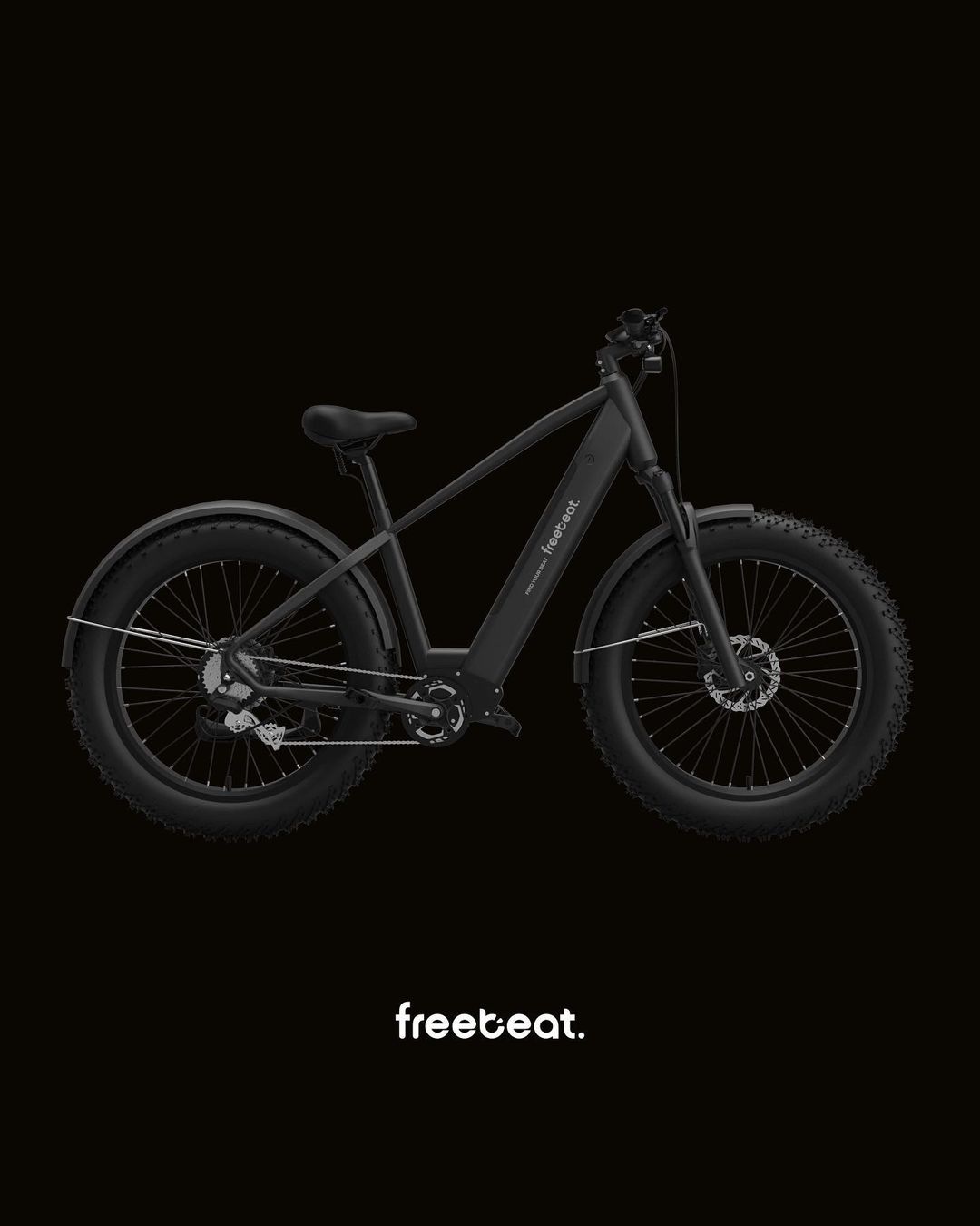 Fat Tire Electric Bike
