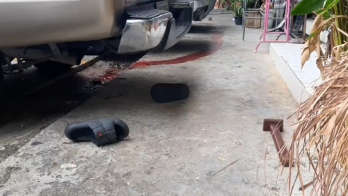 Police Arrest Man for the Murder and Mutilation of 59-Year-Old Woman