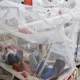 A Deadly Dengue Fever Outbreak Has Struck Bangladesh