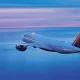 Delta Airlines Flight Canceled Due To Diarrhea
