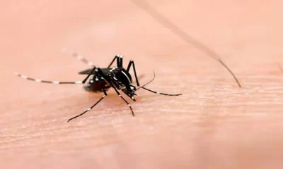 Dengue Control Activities Recorded By IRS Reporting System: 600m