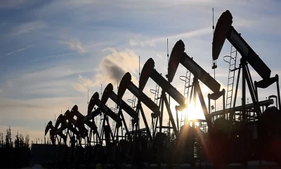 Decoding the Oil Market Structure: From Upstream to Downstream Perspectives