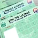 electronic driving licenses