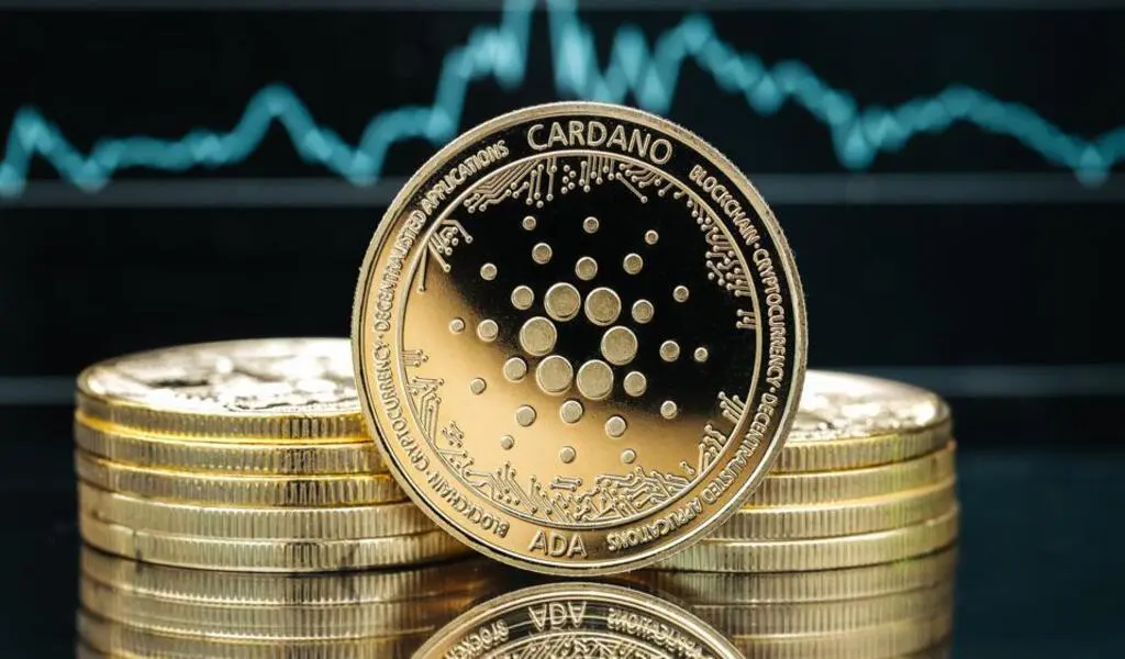Essential Things Before Investing in Cardano