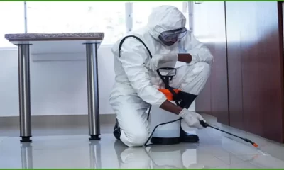 Mastering Pest Control: Tips, Techniques, and Strategies for a Pest-Free Home