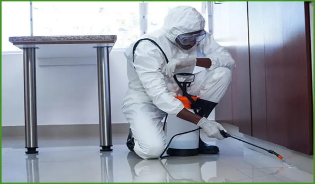 Mastering Pest Control: Tips, Techniques, and Strategies for a Pest-Free Home