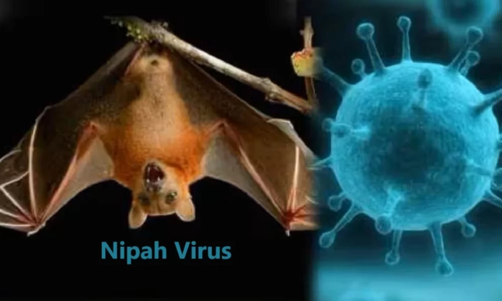 Nipah Virus