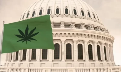 Senate Committee Passes Historic SAFER Banking Act for Cannabis Businesses