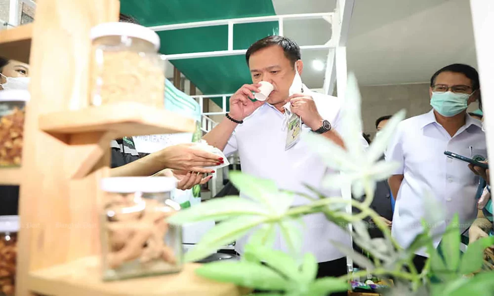 Thailand's Public Health Minister Introduces Committee to Regulate Cannabis