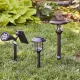 The Illuminating Connection: Why People Want to Have a Garden with Solar Lights