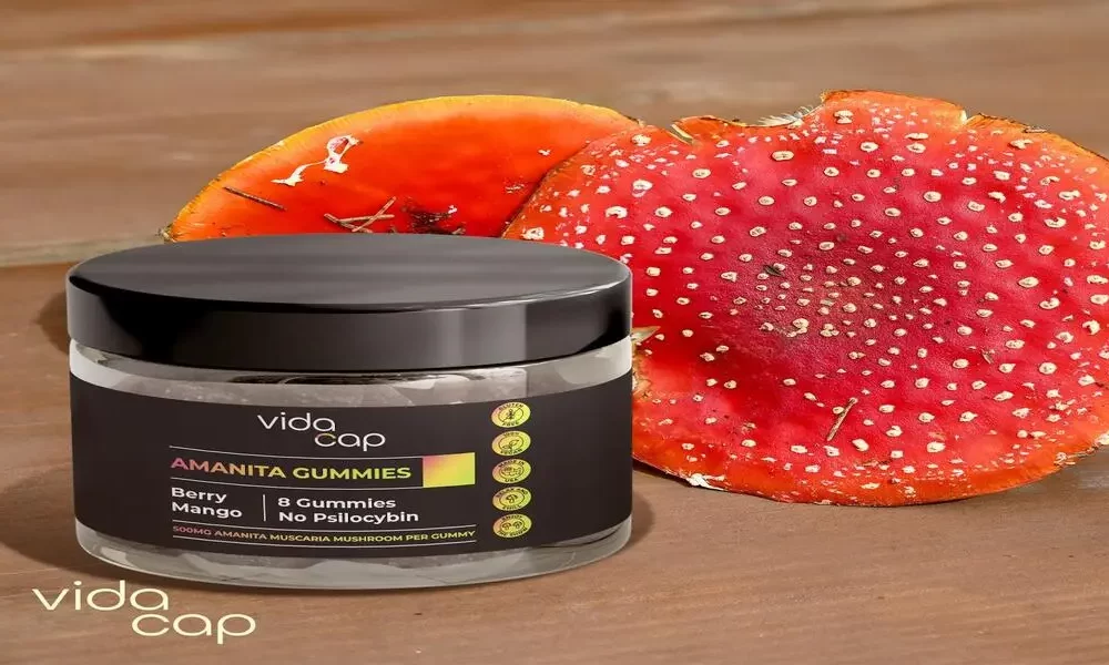 Which Amanita Gummies Brand Is Worth Your Money?