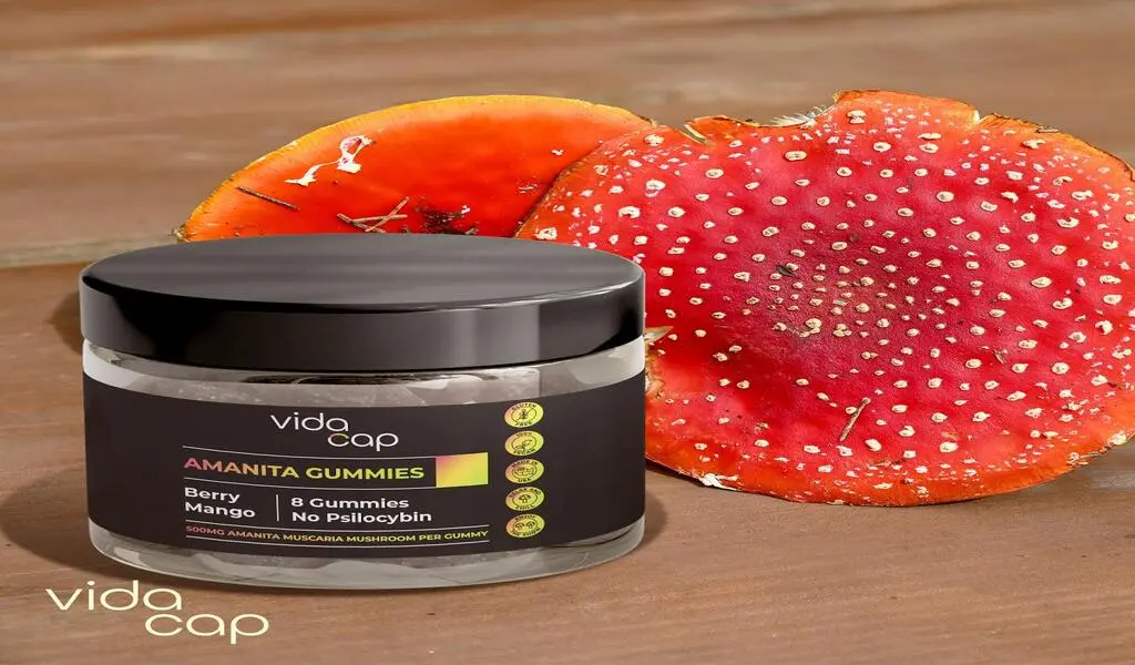 Which Amanita Gummies Brand Is Worth Your Money?