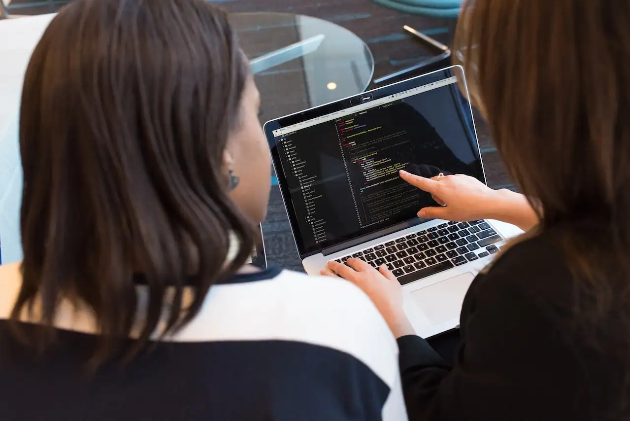 Remote Software Developers 