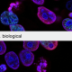 Groundbreaking Advances in Biotechnology and Genetics