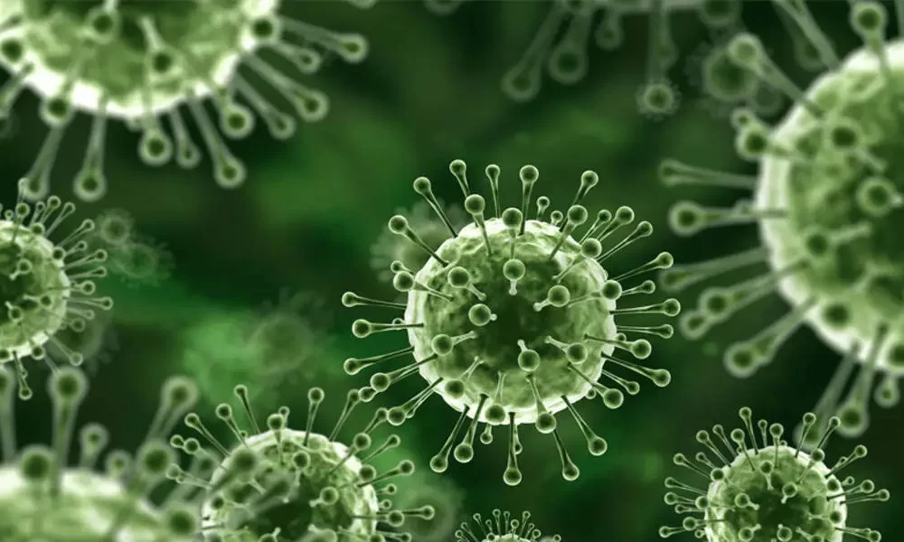 Nipah Virus Can Kill Up To 74% Of Patients In Punjab