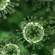 Nipah Virus Can Kill Up To 74% Of Patients In Punjab