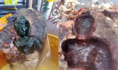 100 Years Old Buddha Statue Unearthed from Mango Tree at Chon Buri Temple