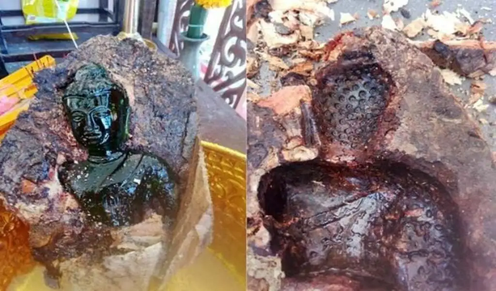 100 Years Old Buddha Statue Unearthed from Mango Tree at Chon Buri Temple