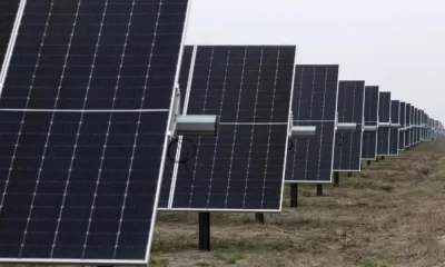 Solar Stocks Tumble To 3-Year Lows After Solaredge Warns About Demand