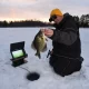 winter anglers