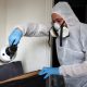 France Tries to Quell National Hysteria Over Bedbugs