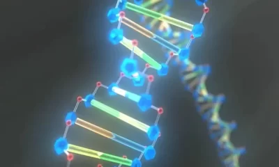 Genetic Materials in Cells: Definition and Description