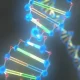 Genetic Materials in Cells: Definition and Description
