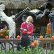 Halloween Yard Decor