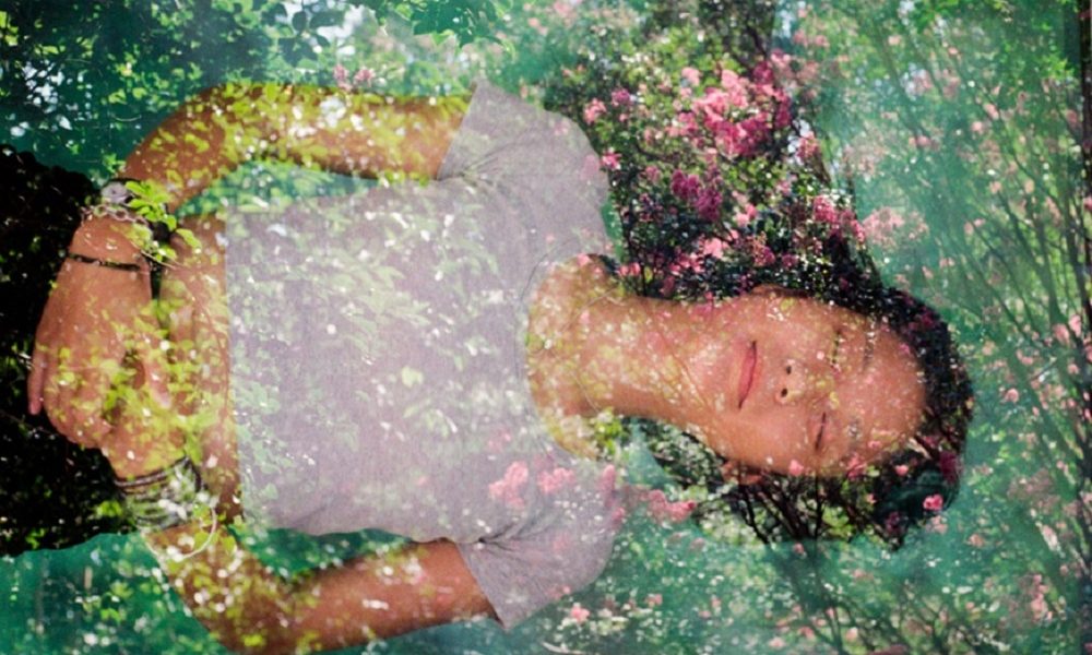 Magic Mushroom Retreats: A Healing Journey