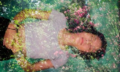 Magic Mushroom Retreats: A Healing Journey