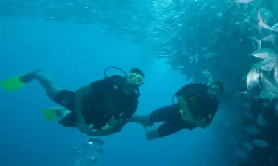 The 5 Finest Diving Places in Koh Samui