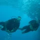 The 5 Finest Diving Places in Koh Samui