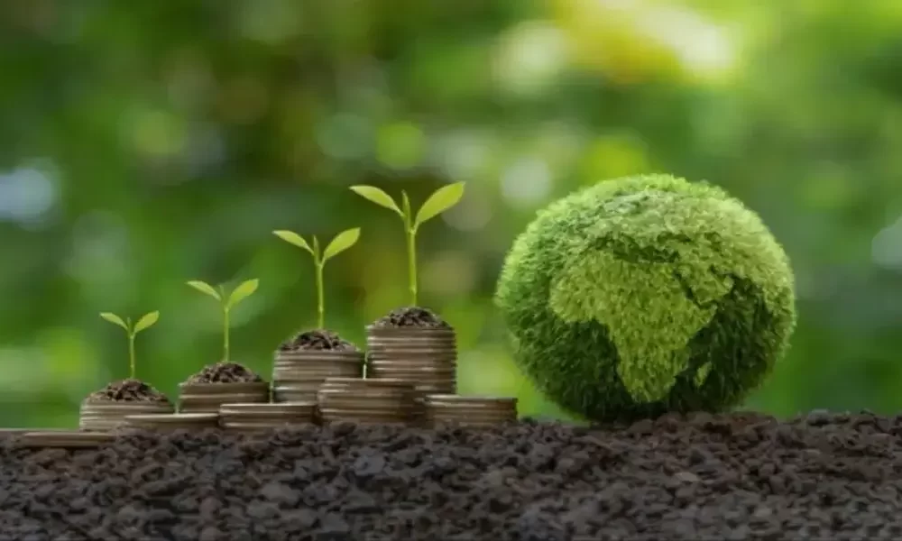 The Importance of Efficiency in Finance: Paving the Way for Sustainable Growth