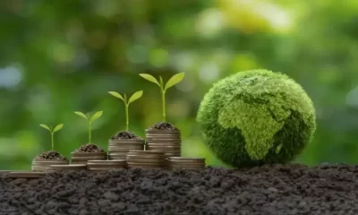 The Importance of Efficiency in Finance: Paving the Way for Sustainable Growth
