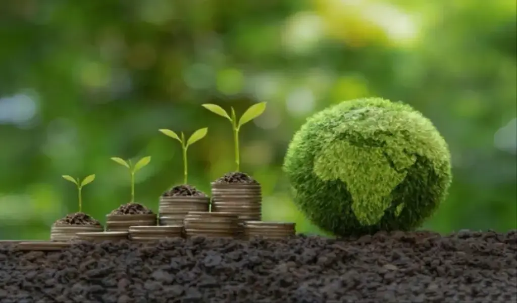 The Importance of Efficiency in Finance: Paving the Way for Sustainable Growth