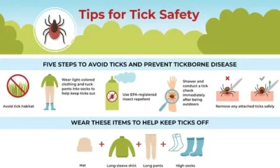 First Powassan Virus Death Reported In Maryland